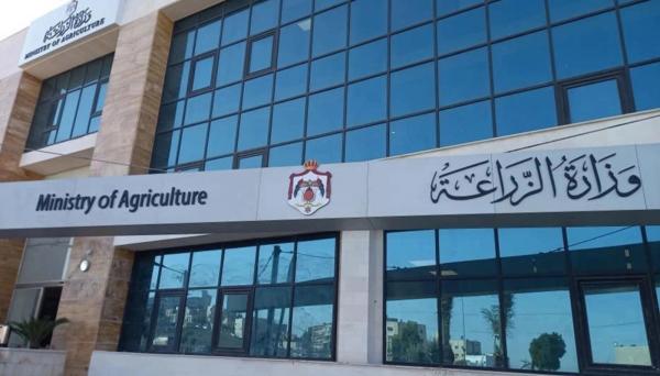 الزراعة: إيقاف استلام وتوريد الحبوب في الصوامع ومراكز الاستلام