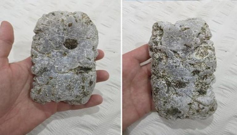 قطعة نادرة من العنبر الرمادي تظهر على شاطئ أسترالي بعد الإعصار ألفريد
