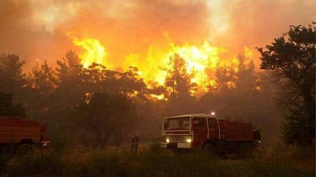 مصرع 7 اشخاص باندلاع حريق في غابات جبلية جنوب الولايات المتحدة