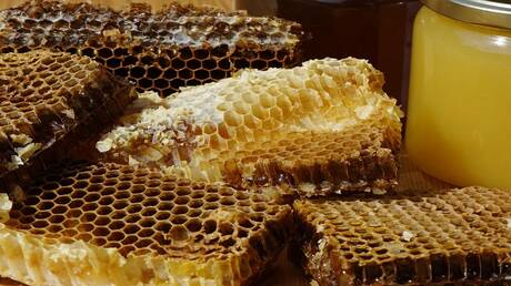 طبيب يفند معتقدات حول فوائد العسل