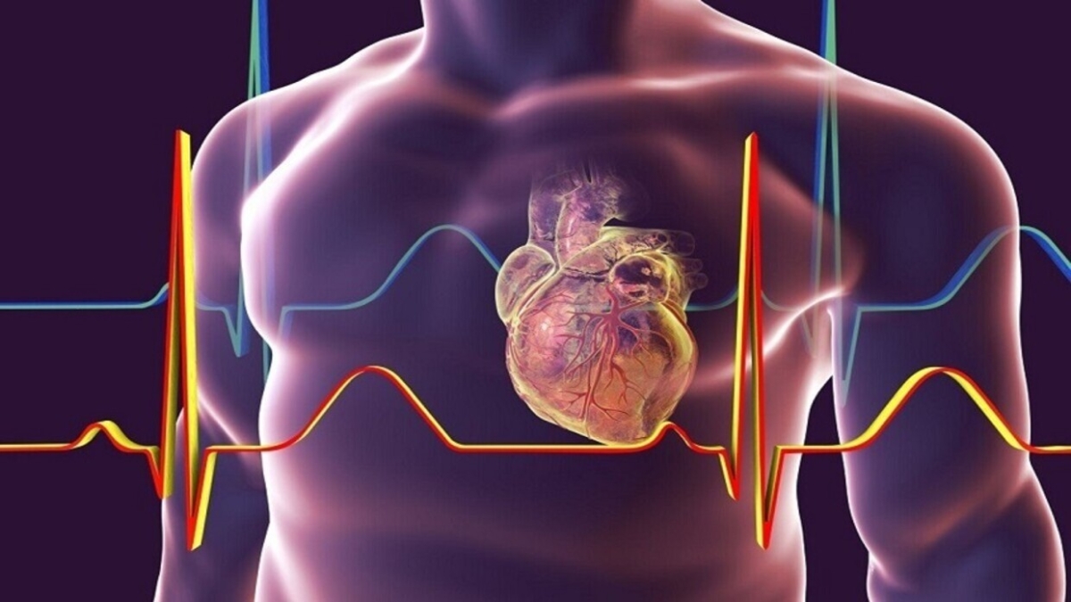علماء يكشفون آلية الضرر الذي يسببه التدخين للرئة