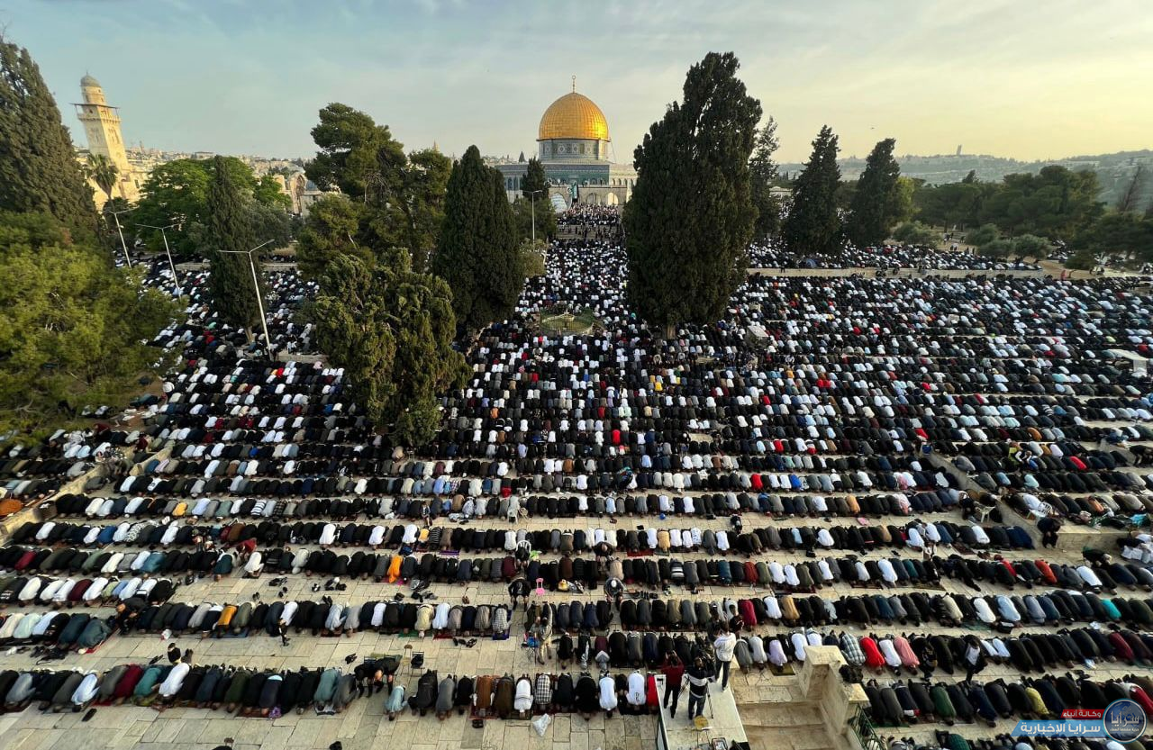 image.php?token=da029975f51af06e2b53175a871ab29e&size=xxlarge