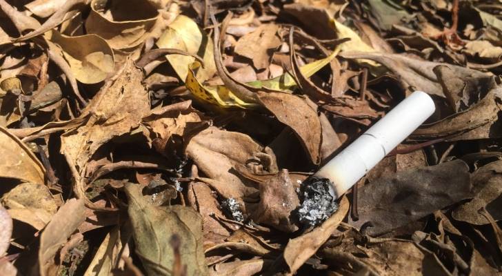 الدفاع المدني يحذّر: لا تلقوا أعقاب السجائر قرب الأشجار الحرجية