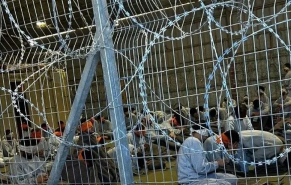 92 شهيدا في سجون الاحتلال "الإسرائيلي" خلال 3 أعوام