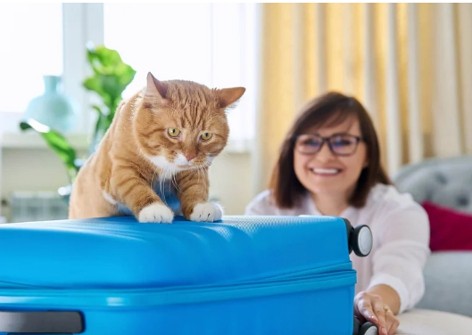 الإقامة في أوروبا مع حيوانك الأليف: أين تقيم دون قلق؟