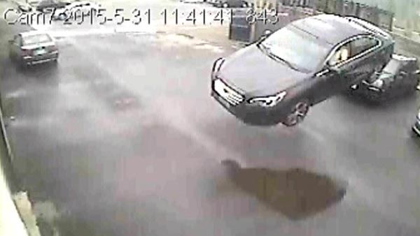فيديو: سائق يطير بسيارته وينجو بأعجوبة من حادث مأساوي