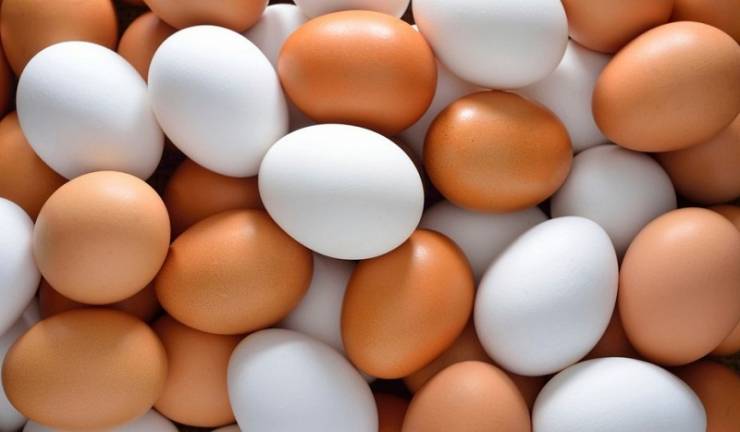 ستة أنواع من البيض أسوأ من السم