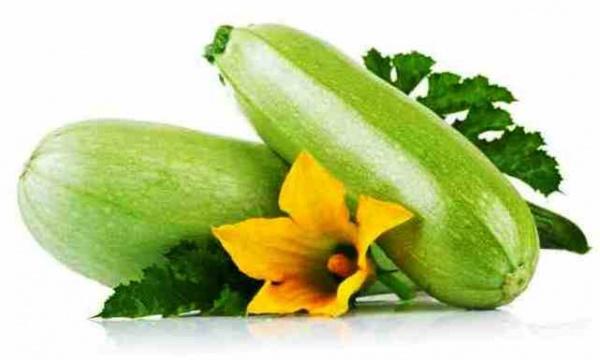 الكوسا كنز ثمين لايمكنك الاستغناء عنه