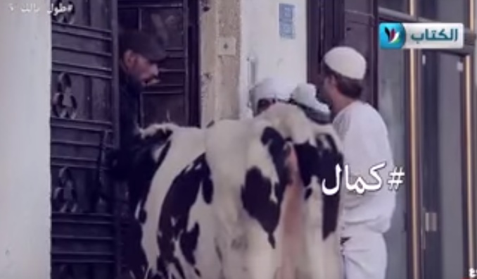 الكاميرا الخفية ..  البقرة