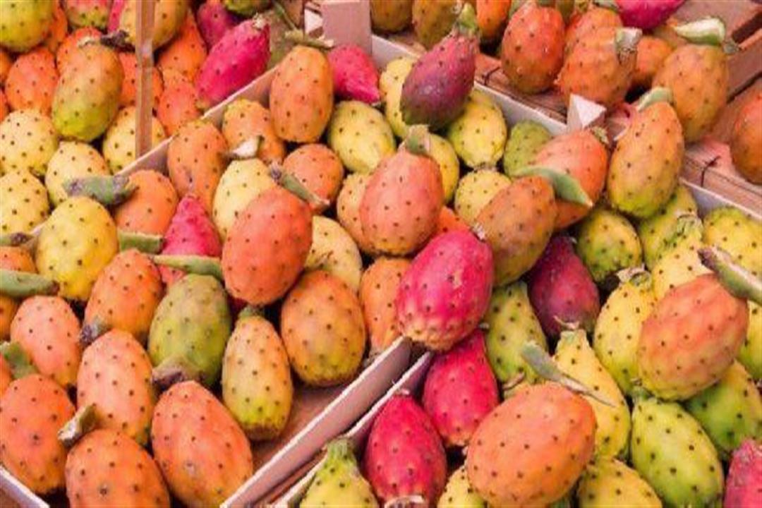 تفسير حلم رؤية التين الشوكي في المنام  