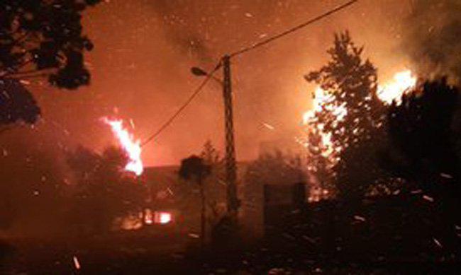 بالفيديو: مراسلة لبنانية تشعل السوشيال ميديا ببكائها على الهواء لإنقاذ الأهالي من الحرائق