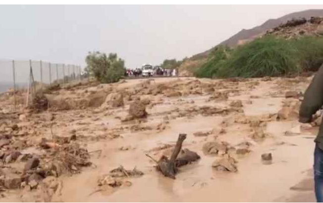 شخصيات عربية تعزي بضحايا حادثة البحر الميت