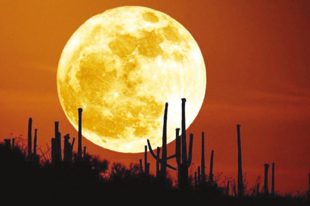 قمر الحصادين يضيء سماء المملكة مساء السبت المقبل 