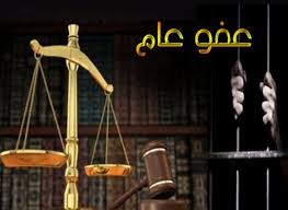 النائب الطراونة: هؤلاء الاشخاص لن يشملهم العفو من ضمنهم "الذهبي"