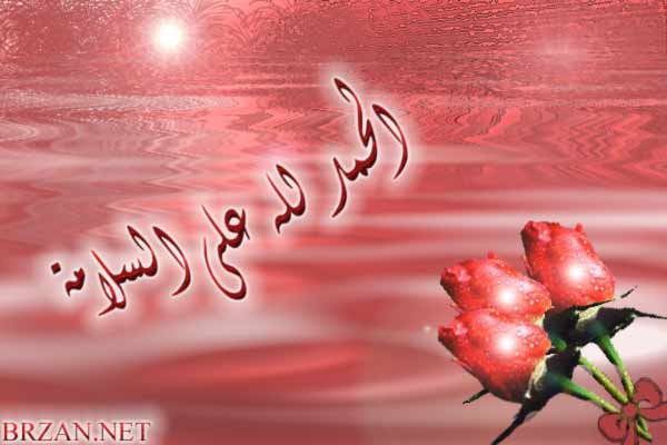 سلامات لـ زيد ابو مرخية