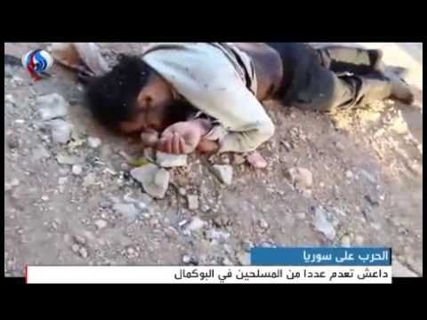 بالفيديو +18  ..  'داعش' تعدم ميدانياً 70 مسلحاً من 'الجيش الحر وجبهة النصرة'