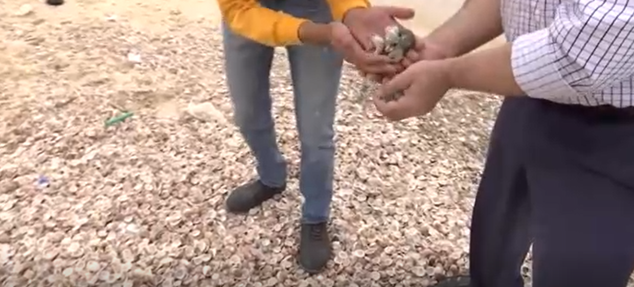 هواية جمع الأحجار تتحول إلى كنز ثمين في غزة