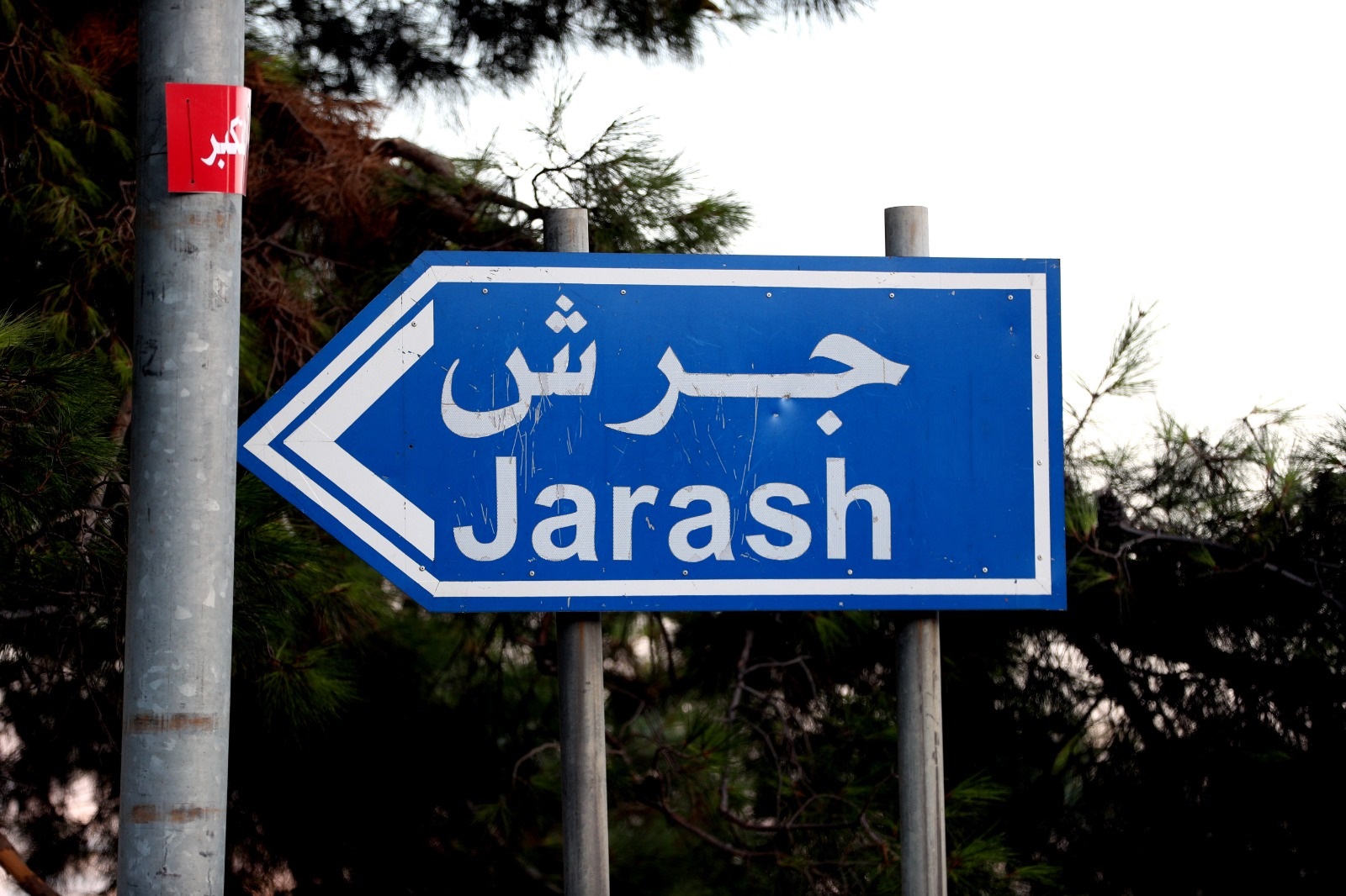 موظفون في زراعة جرش يشكون نقلهم تعسفياً إلى مبنى غير مؤهل في لواء المعراض