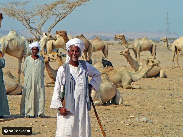 محمية جبل علبة