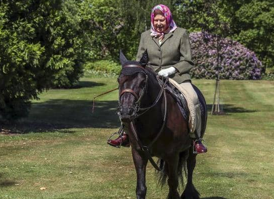 على ظهر حصان ..  أول ظهور لملكة بريطانيا إليزابيث الثانية منذ "إغلاق كورونا"