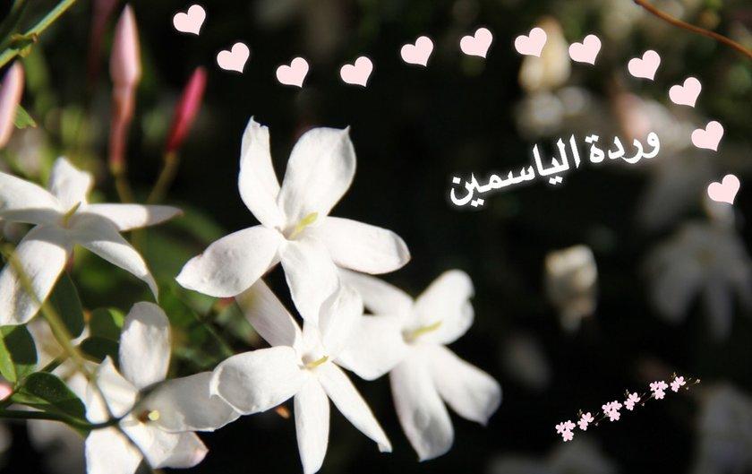  رائعون على الإطلاق