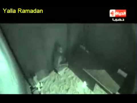 رامز عنخ امون  ..  الحلقة 15 "نيلي كريم"