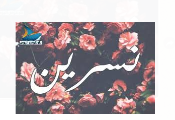 نسرين ..  كل عام و أنت الخير والجمال