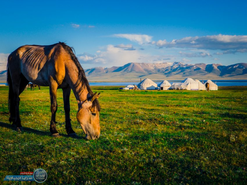 بالصور  ..  أجمل النشاطات السياحية عند زيارة قيرغيزستان في الشتاء
