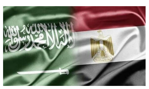 السعودية تحذر من منتج غذائي مصري يحتوي على حشرات