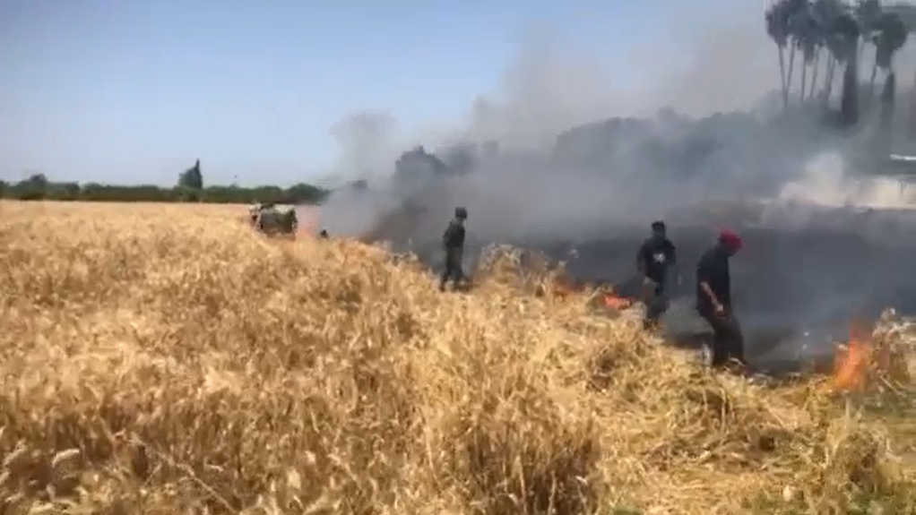 بالفيديو  ..  حريق يلتهم محصول قمح بالاغوار الشمالية