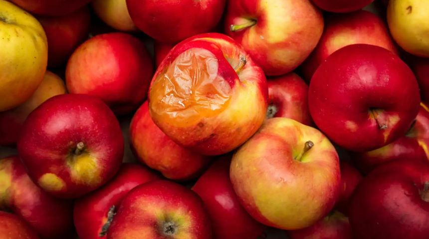 لا تتخلص من التفاح القديم ..  فوائد صحية خفية