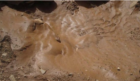 تفسير حلم الطين في المنام 
