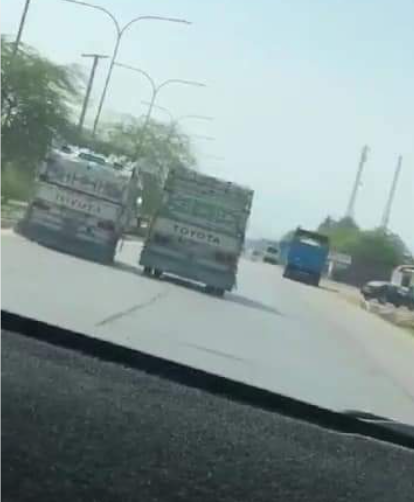 الدوريات الخارجية تضبط مركبتي "ديانا" لقيادتهما بصوره متهورة واستعراضيه على طريق البحر الميت