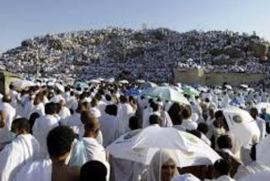 صندوق الحج : من حج سابقا ليس له الحج مرة أخرى  ..  تفاصيل 
