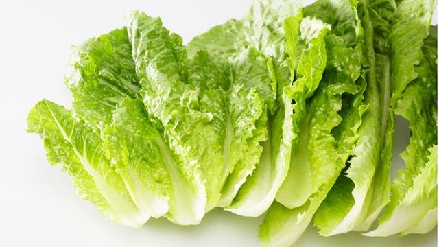 تفسير رؤية الخس في المنام