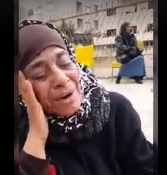 الأمانة تغتال عربة "أم رامز" والشواربة لا يحرك ساكنا " فيديو" 