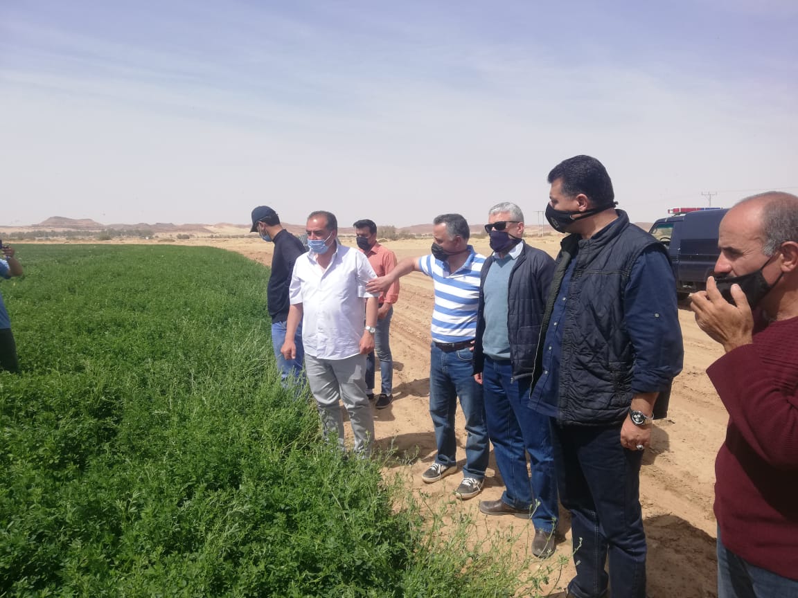 وزارة الزراعة: استمرار مكافحة الجراد الصحراوي في المدورة