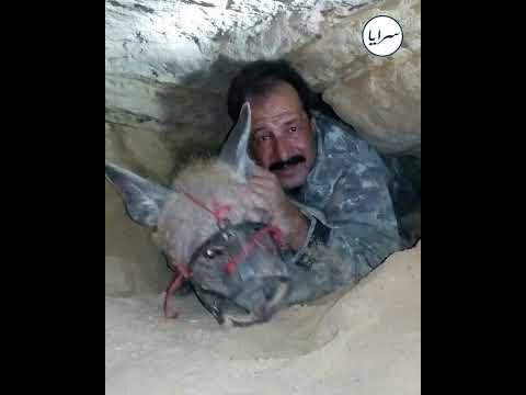 "هاي أكثر خوفه خفتها بحياتي".. ستيني يروي لسرايا لحظات الرعب في مغامرته الأولى بصيد الضباع