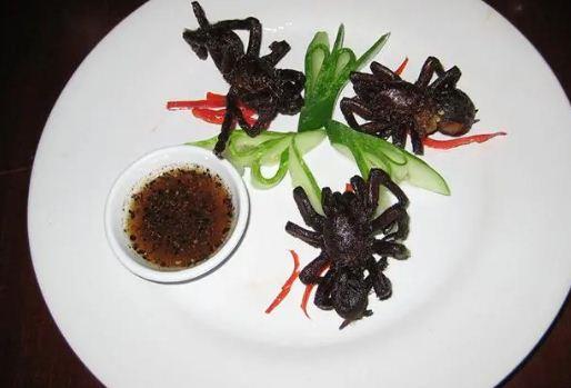أغرب الأكلات في العالم ..  طبق العناكب ونبيذ الأرز بالفئران «الأبرز»