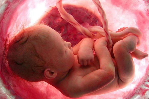 دراسة علمية تحدد طرق معرفة جنس الجنين بدون أشعة