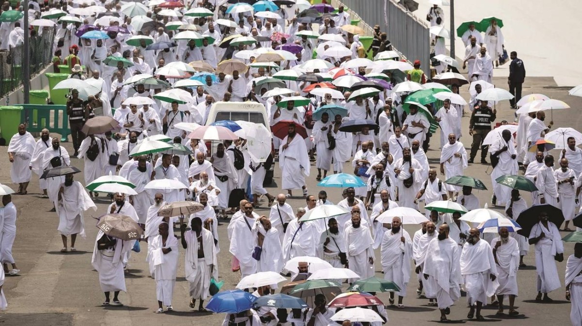 كم عدد الحجاج منذ بدء التوثيق قبل 56 عاماً؟