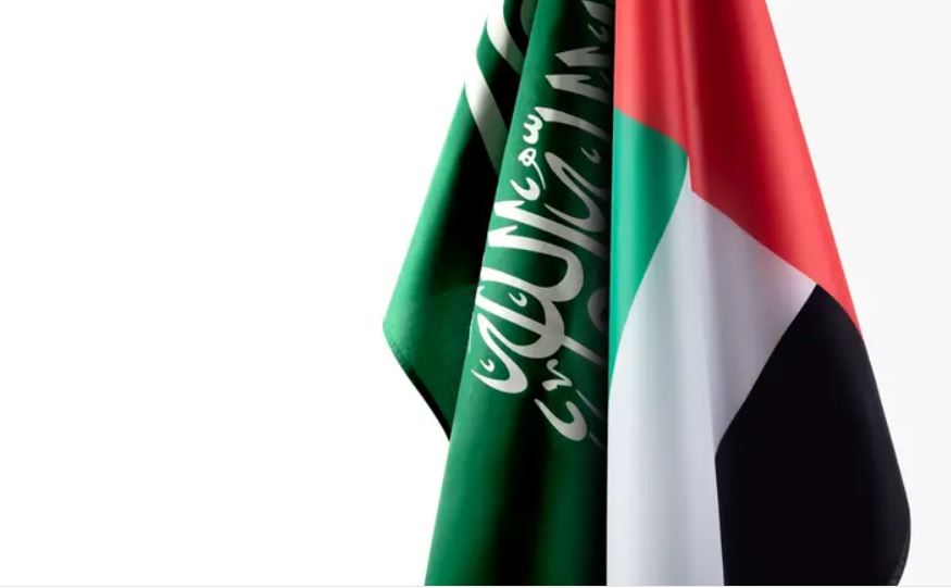 وزيرا خارجية السعودية والإمارات يبحثان التطورات الإقليمية