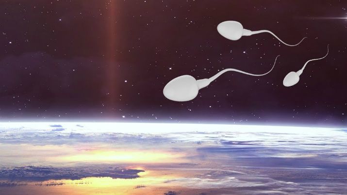 لماذا أطلقت ناسا شحنة من الحيوانات المنوية إلى الفضاء؟