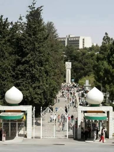 دكاترة شباب يصرخون: لماذا تعود الفرص للمتقاعدين ونبقى نحن بلا تعيين ؟