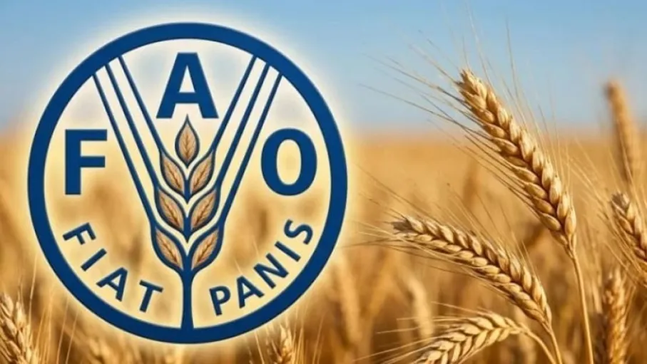 "الفاو": استمرار أزمة "هرمز" سيخلف كارثة غذائية