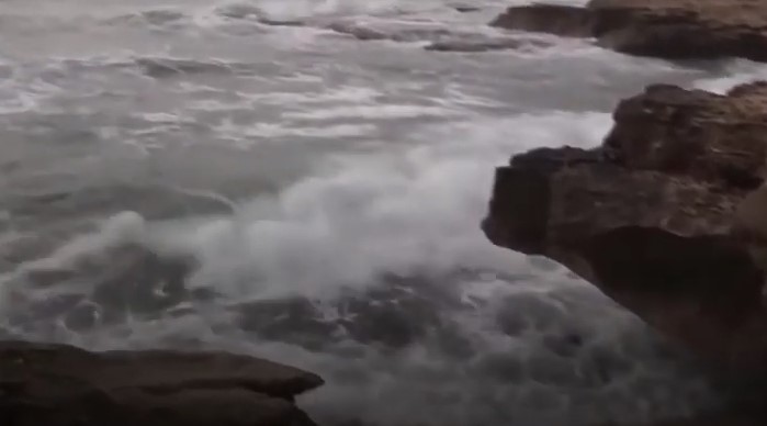 بالفيديو ..  تعرفو على قرية البصه المهجرة