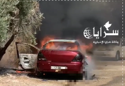 بالفيديو . احتراق مركبة في عين الباشا 