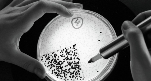 الأطباء عاجزون ..  البكتيريا الخارقة تهدد البشرية