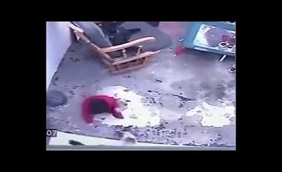 بالفيديو :قطة تنقذ طفلا رضيعا من موت محقق في الصين 