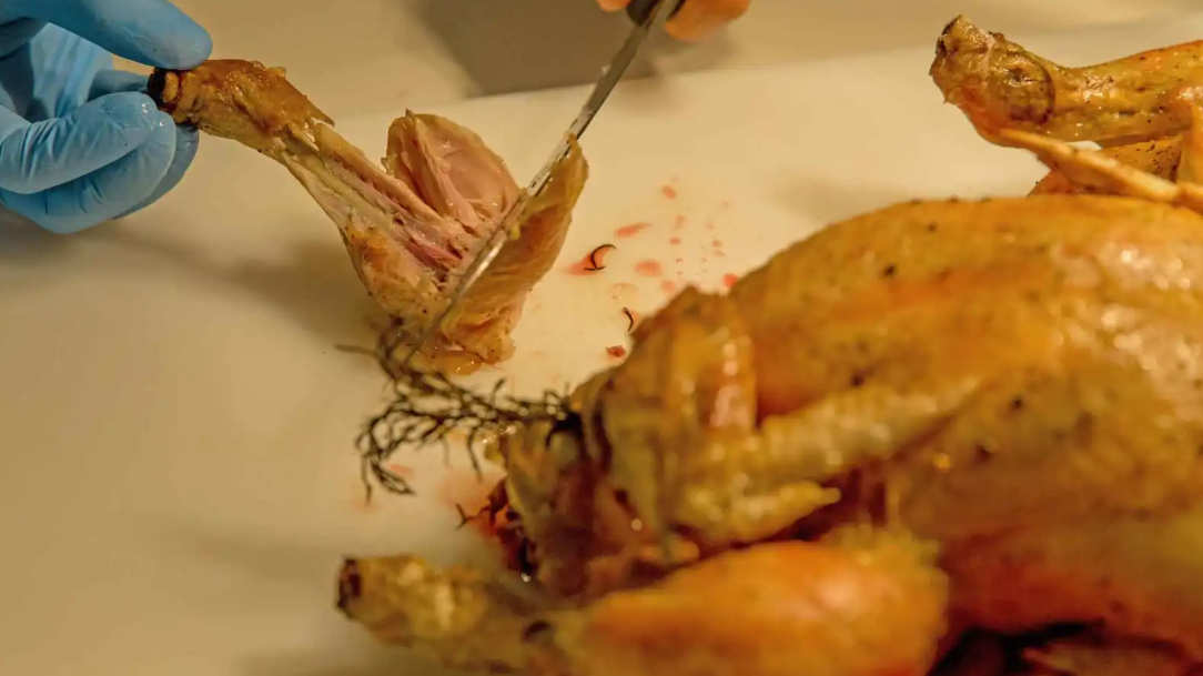 ماذا يحدث إذا أكلت الدجاج نيئا؟ 